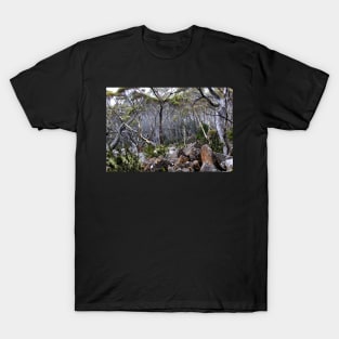 Forrest in the fog T-Shirt